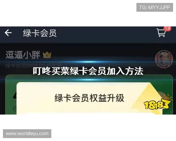 乐鱼购安卓最新优惠券领取攻略让你轻松享受最大优惠力度